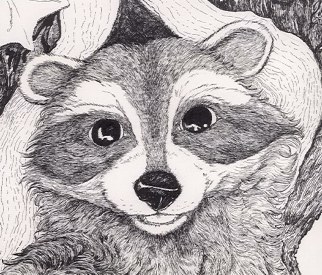 Raccoon in a Tree Pen & Ink, (c) Copyright by Toni Donelow Stewart, all rights reserved.